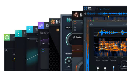 iZotope - RX Post Production Suite 8.6 - Download