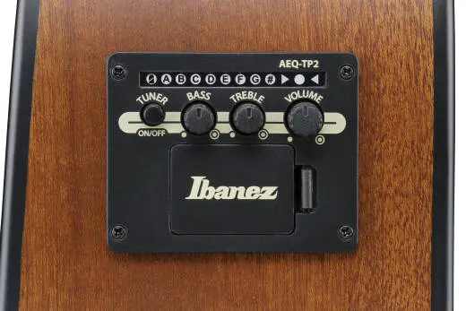 AAD54E Grand Dreadnought Acoustic/Electric Guitar - Open Pore Mahogany Sunburst