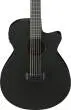 AEG1221 AEG Series 12-String Acoustic/Electric Guitar - Black Out