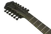 AEG1221 AEG Series 12-String Acoustic/Electric Guitar - Black Out