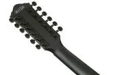 AEG1221 AEG Series 12-String Acoustic/Electric Guitar - Black Out