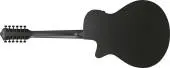 AEG1221 AEG Series 12-String Acoustic/Electric Guitar - Black Out