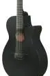 AEG1221 AEG Series 12-String Acoustic/Electric Guitar - Black Out