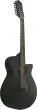 AEG1221 AEG Series 12-String Acoustic/Electric Guitar - Black Out