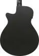 AEG1221 AEG Series 12-String Acoustic/Electric Guitar - Black Out