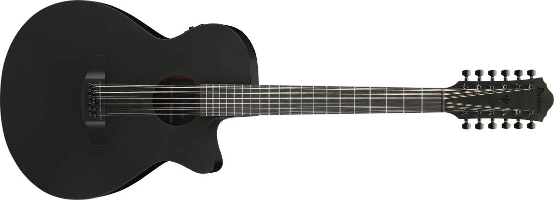 AEG1221 AEG Series 12-String Acoustic/Electric Guitar - Black Out