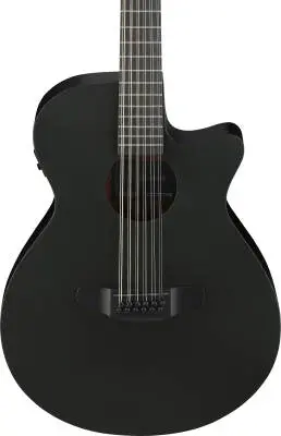 AEG1221 AEG Series 12-String Acoustic/Electric Guitar - Black Out