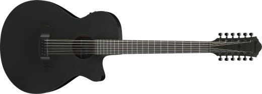 Ibanez - AEG1221 AEG Series 12-String Acoustic/Electric Guitar - Black Out