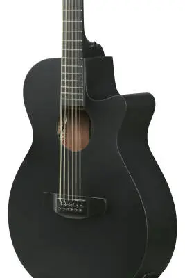 AEG1221 AEG Series 12-String Acoustic/Electric Guitar - Black Out