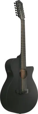 AEG1221 AEG Series 12-String Acoustic/Electric Guitar - Black Out