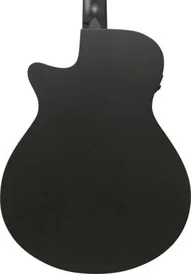 AEG1221 AEG Series 12-String Acoustic/Electric Guitar - Black Out