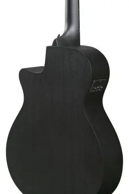 AEG621 AEG Series Acoustic/Electric Guitar - Black Out