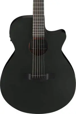 AEG621 AEG Series Acoustic/Electric Guitar - Black Out