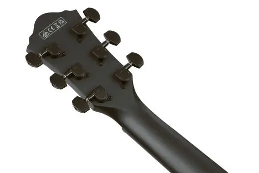 AEG621 AEG Series Acoustic/Electric Guitar - Black Out
