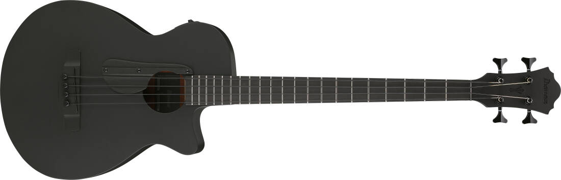 AEGB420 AEG Series Acoustic/Electric Bass - Black Out