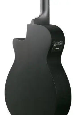 AEGB420 AEG Series Acoustic/Electric Bass - Black Out