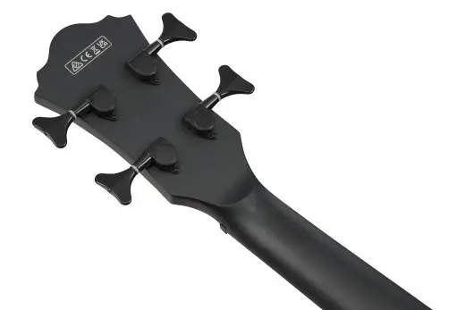AEGB420 AEG Series Acoustic/Electric Bass - Black Out