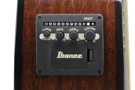 AEWC16QA Acoustic/Electric Guitar - Transparent Blue Sunburst