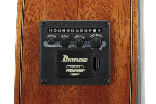 Classical 7-String Acoustic/Electric Guitar with Hardshell Case - Natural High Gloss