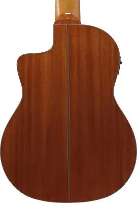 Classical 8-String Acoustic/Electric Guitar with Hardshell Case - Natural High Gloss