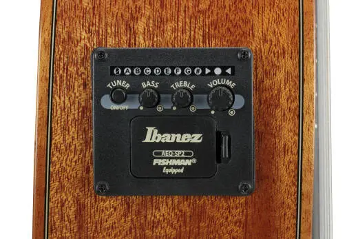 Classical 8-String Acoustic/Electric Guitar with Hardshell Case - Natural High Gloss