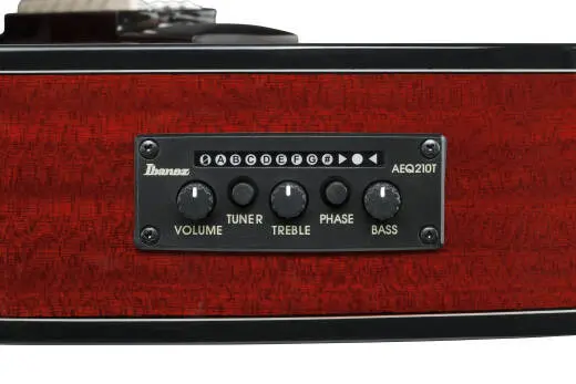 GA35TCE Classical Acoustic/Electric Guitar - Sapphire Red