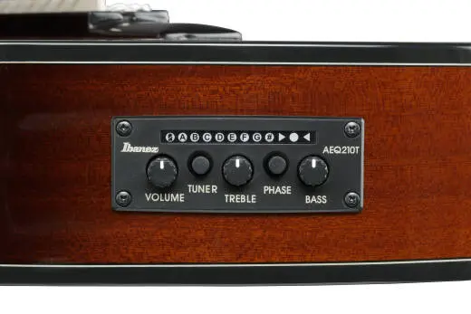 GA35TCE Classical Acoustic/Electric Guitar - Violin Sunburst