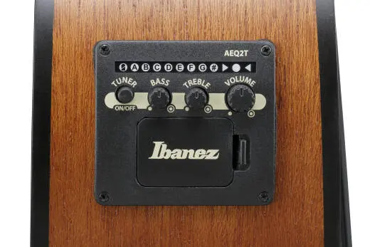 PCB54E 4-String Acoustic/Electric Bass - Open Pore Natural