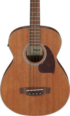 PCB54E 4-String Acoustic/Electric Bass - Open Pore Natural