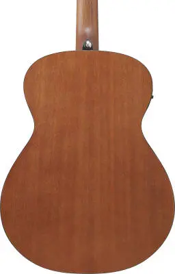 PCB54E 4-String Acoustic/Electric Bass - Open Pore Natural