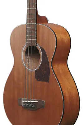 PCB54E 4-String Acoustic/Electric Bass - Open Pore Natural