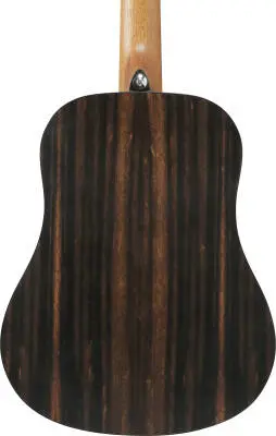 PF2BE PF Performance Acoustic Guitar with Gigbag - Open Pore Natural