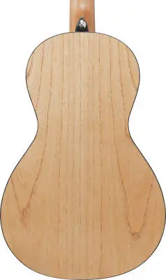 PN2MD PF Performance Acoustic Guitar - Open Pore Natural