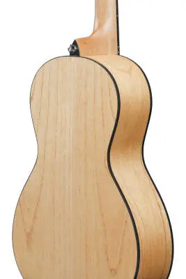 PN2MD PF Performance Acoustic Guitar - Open Pore Natural