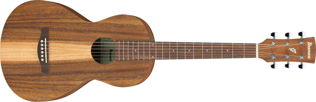 PN2WS PF Performance Acoustic Guitar - Open Pore Brown