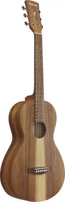 PN2WS PF Performance Acoustic Guitar - Open Pore Brown