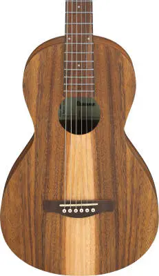 PN2WS PF Performance Acoustic Guitar - Open Pore Brown