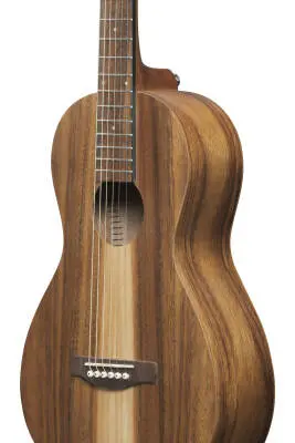 PN2WS PF Performance Acoustic Guitar - Open Pore Brown