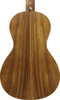 PN2WS PF Performance Acoustic Guitar - Open Pore Brown