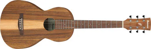 Ibanez - PN2WS PF Performance Acoustic Guitar - Open Pore Brown