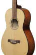 PN50TKE Acoustic/Electric Guitar - Natural High Gloss Top