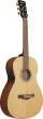 PN50TKE Acoustic/Electric Guitar - Natural High Gloss Top