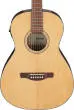 PN50TKE Acoustic/Electric Guitar - Natural High Gloss Top