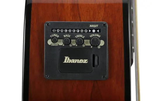 PN50TKE Acoustic/Electric Guitar - Natural High Gloss Top