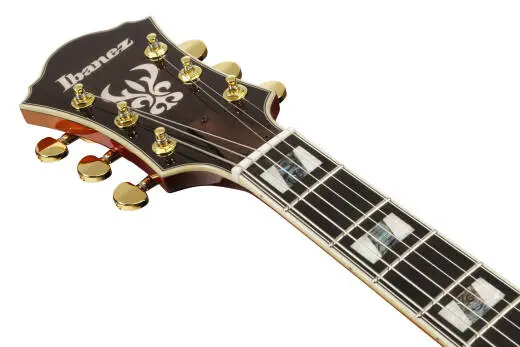 AF Artstar 6-String Electric Guitar with Hardshell Case - Aged Whiskey Burst