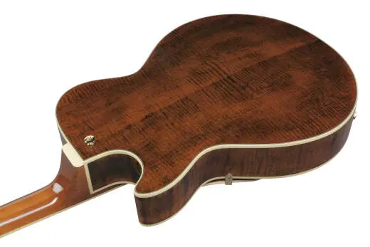 AG Artcore Expressionist 6-String Electric Guitar - Dark Amber