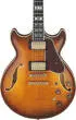 AM Artstar 6-String Electric Guitar with Hardshell Case - Antique Tobacco Burst
