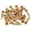 Fender - Pickguard\/Control Plate Mounting Screws (24) - Gold