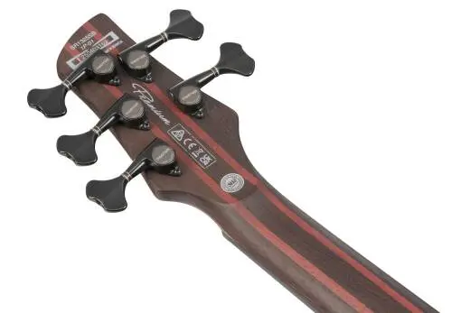 SR Premium 5-String Electric Bass with Bag - Aqua Wave Low Gloss