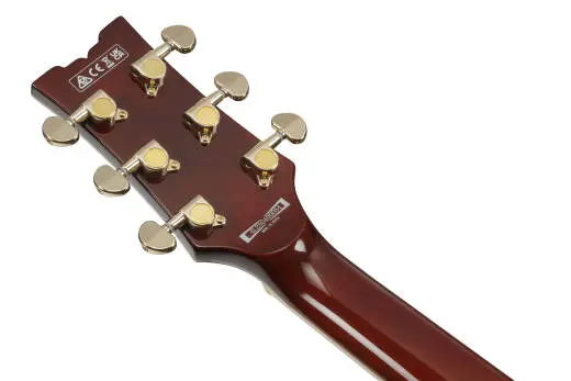 AR Standard 6-String Electric Guitar - Midnight Black Metallic